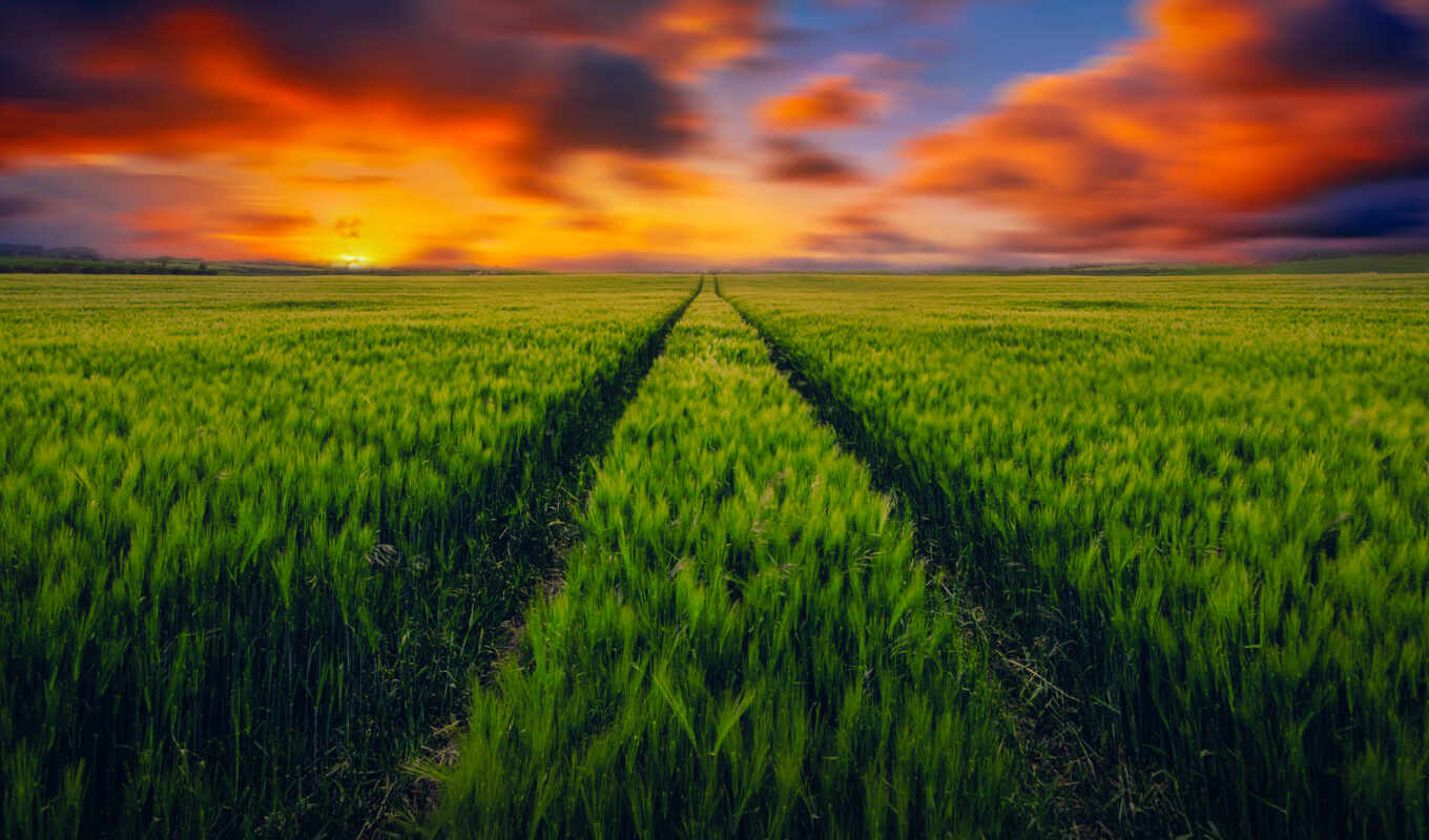nature, collection, wall, paper, sunset, field, village, vertical, track, ruslan, ahmetshina