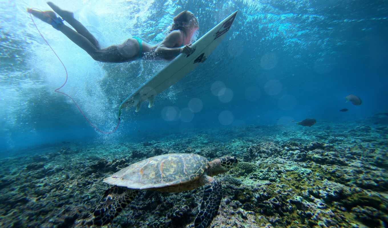 girl, surfing, maldives, underwater