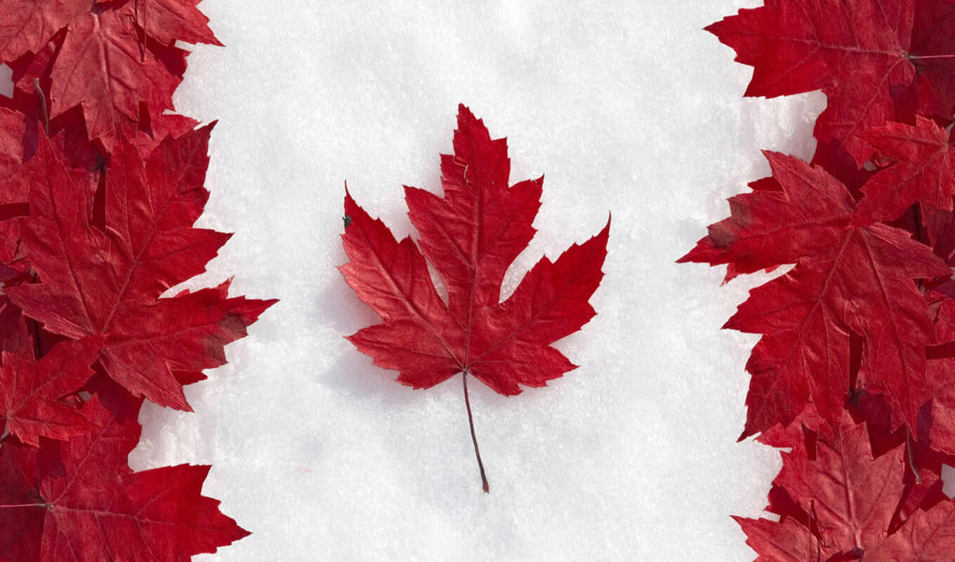 лист, снег, country, height, канада, осень, half, канадский, ложь, economy, институте