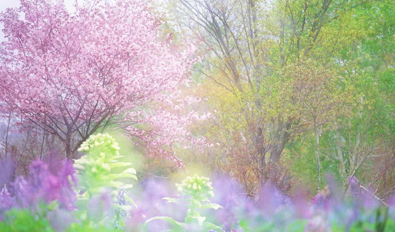 garden, весна