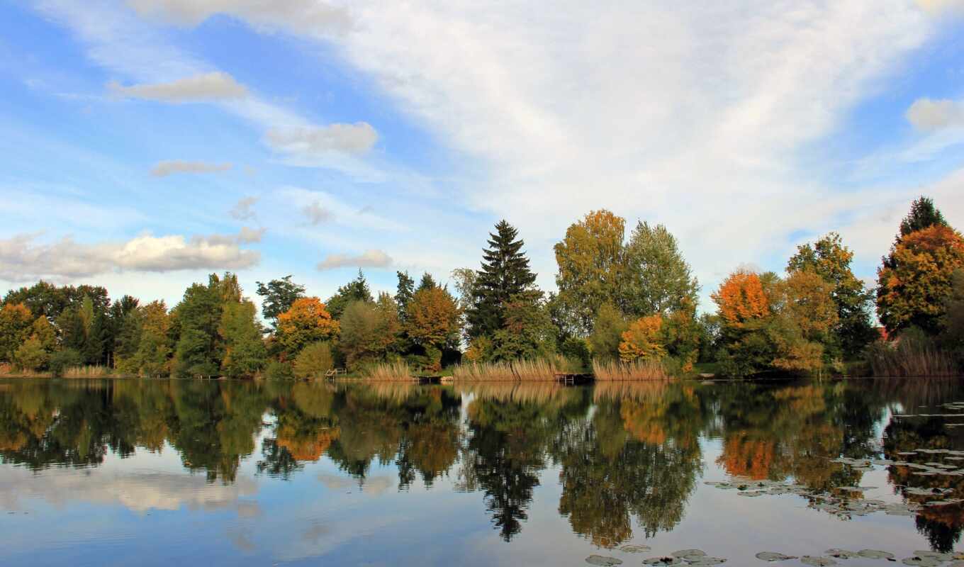 дерево, russian, water, landscape, осень, язык, река, отражение, natural