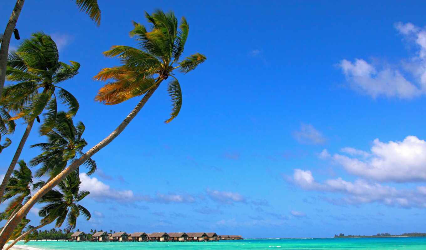 ipad, maldives, tropic