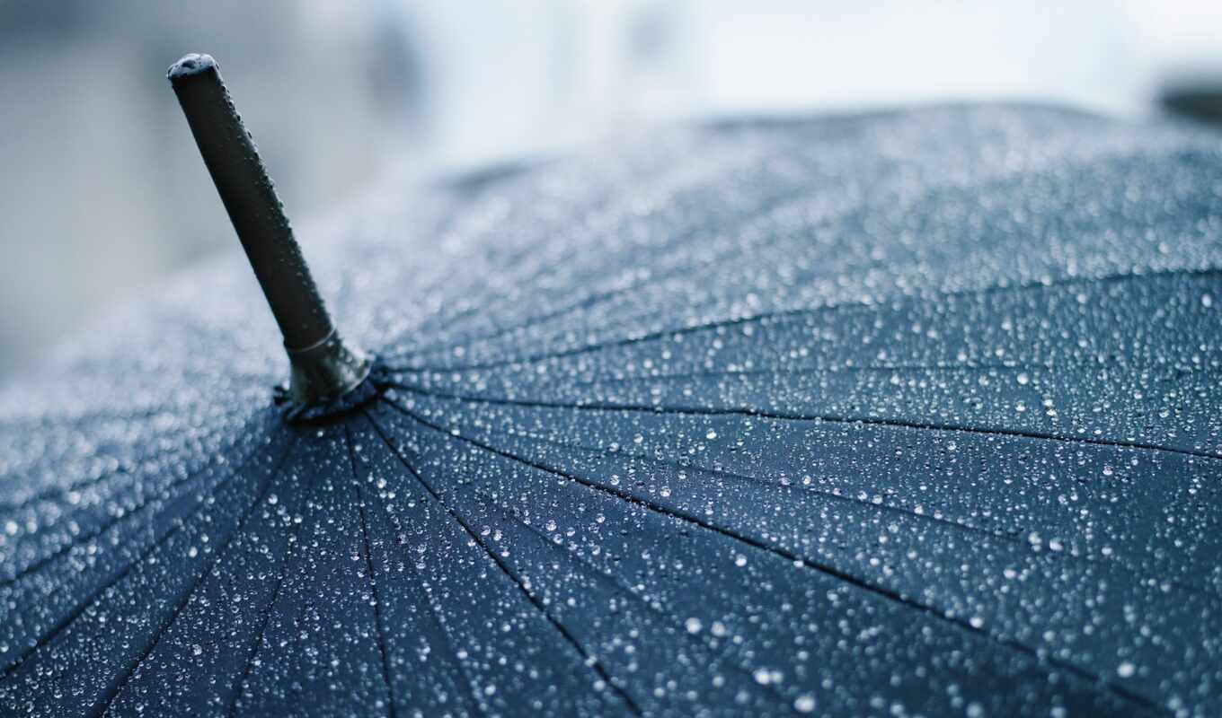 drops, rain, macro, umbrella