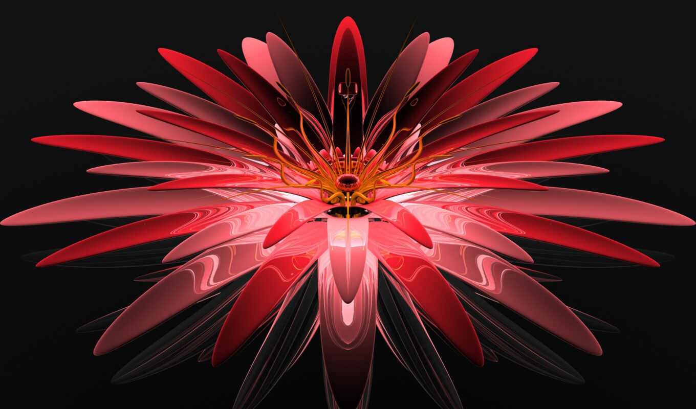 red, flower, pink, petal, gerbera, symmetry, art