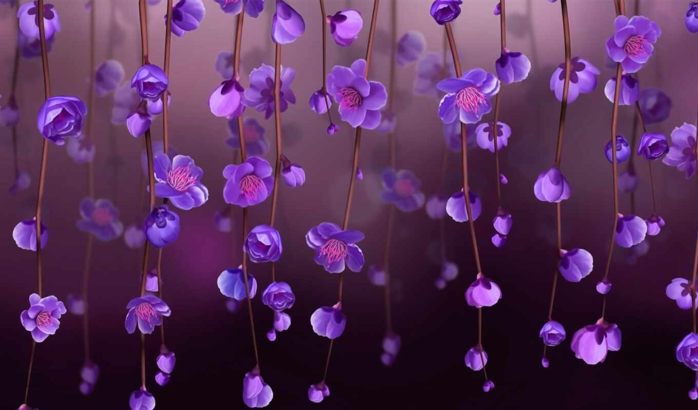 flowers, light, purple, eyes, spring, petal, stamen, stem, permission, back, serum