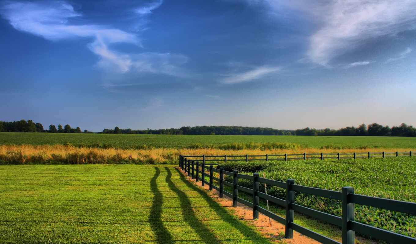 sky, green, farm, fence, hay, margin, rural