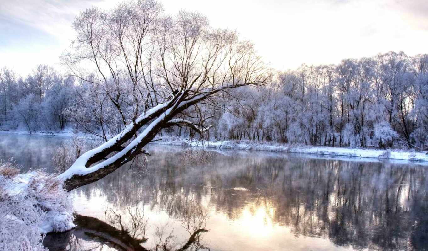 природа, снег, winter, лес, landscape, река, trees