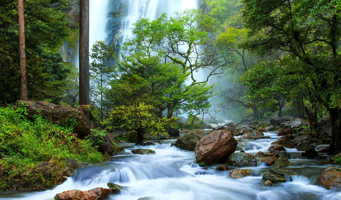 природа, pantalla, река, водопад, cascada