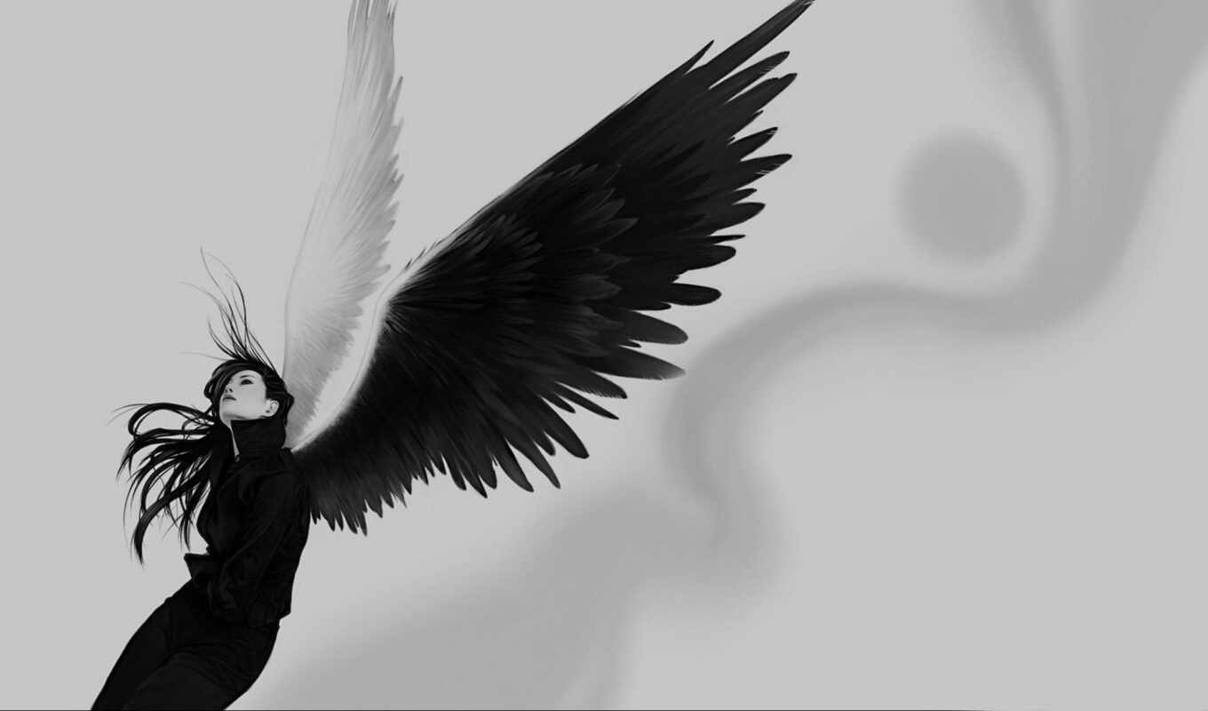 angel, fantasy, illustration, wing, monochrome