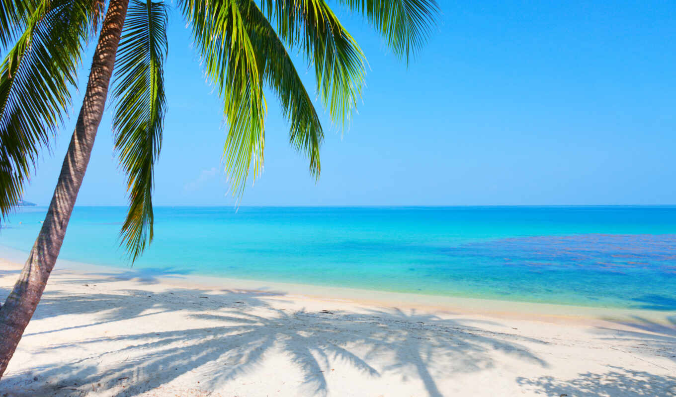 sky, blue, beach, landscape, sea, sand, palm, reflection