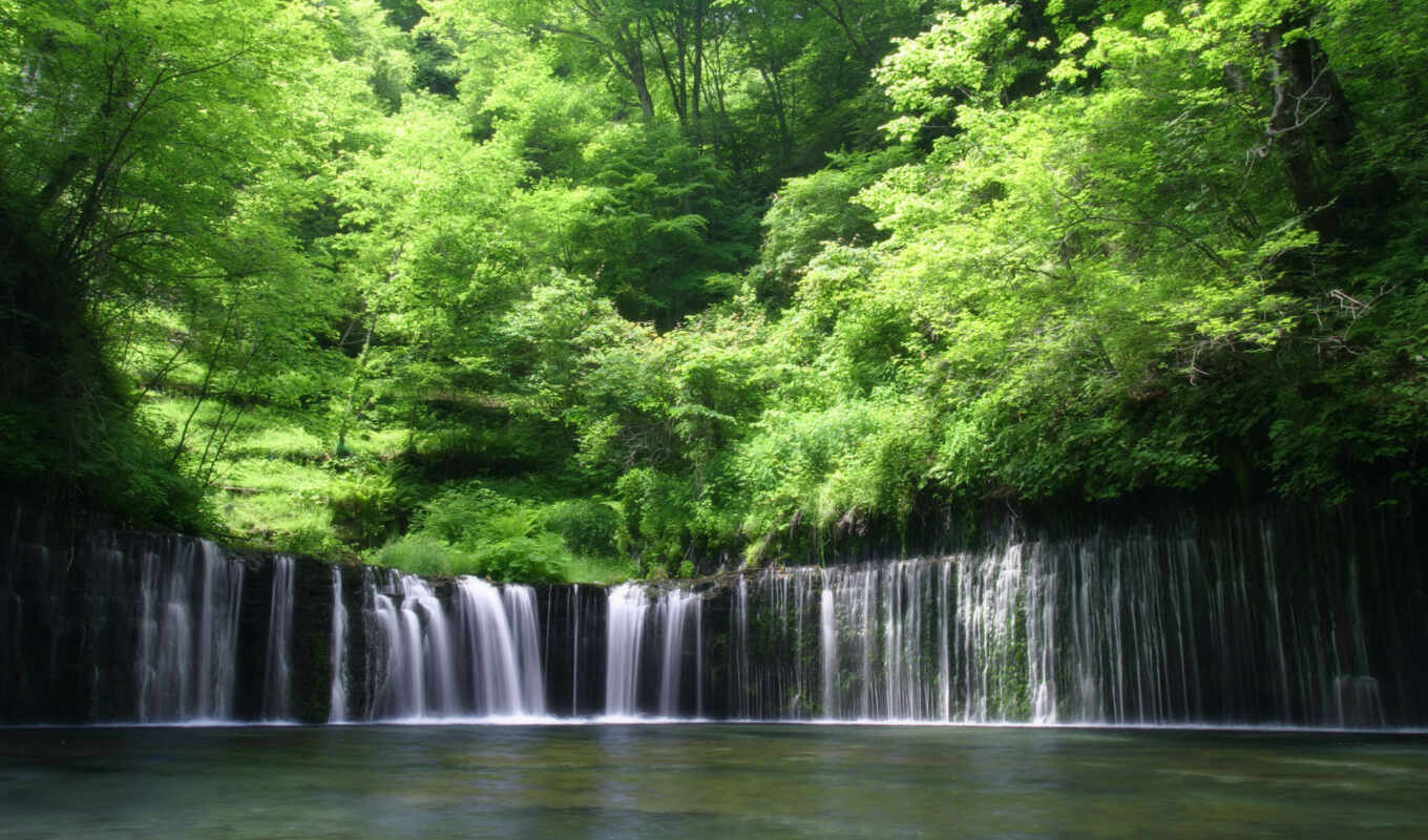 природа, лес, водопад, япония, elements, hokkaido, густой
