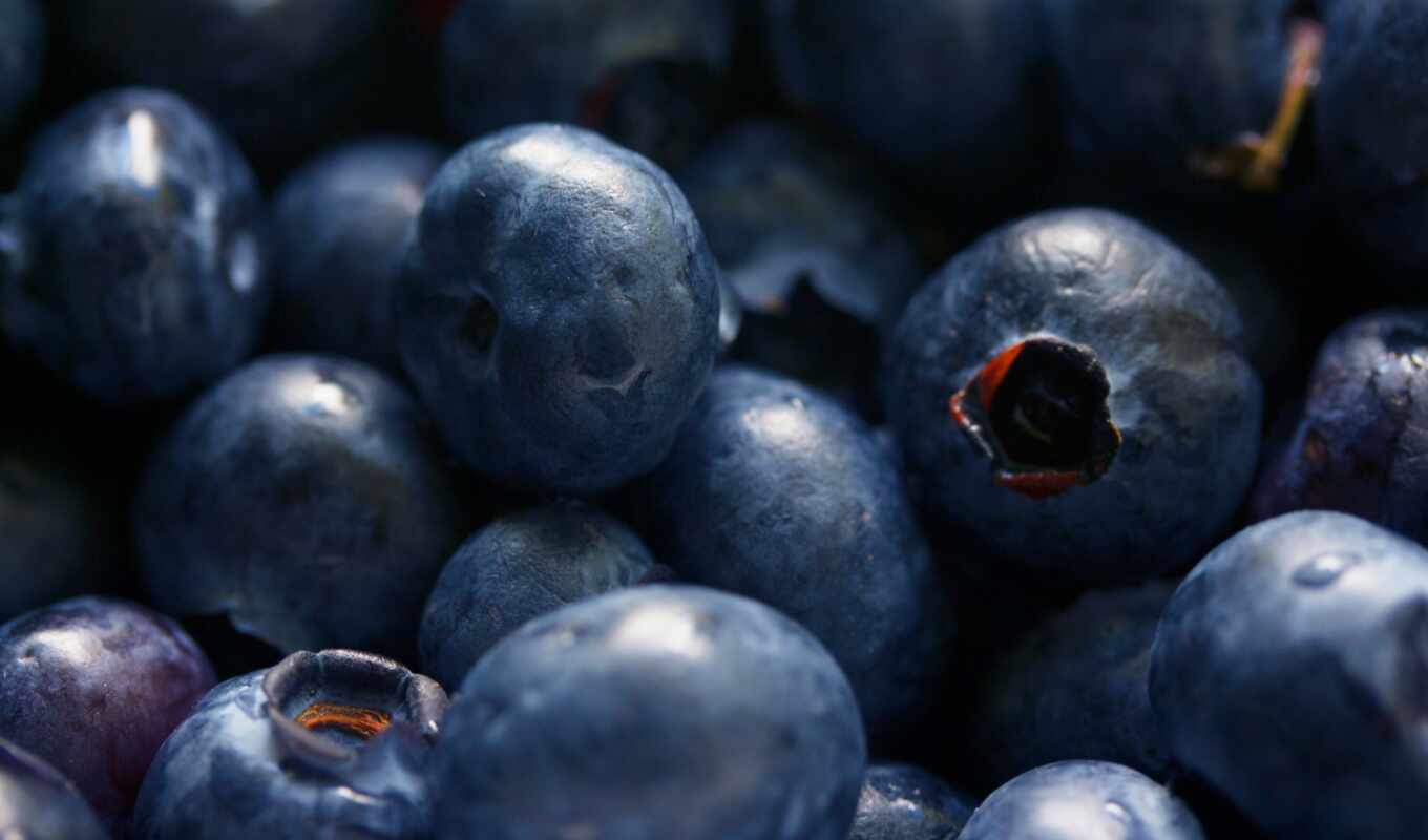 free, stock, плод, круглый, ягода, berries, черника, bilberry
