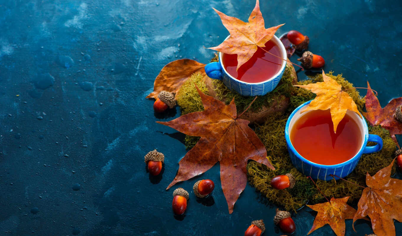 фото, blue, hot, осень, пасть, dark, чая, напиток, leaf, огромный, ceramic