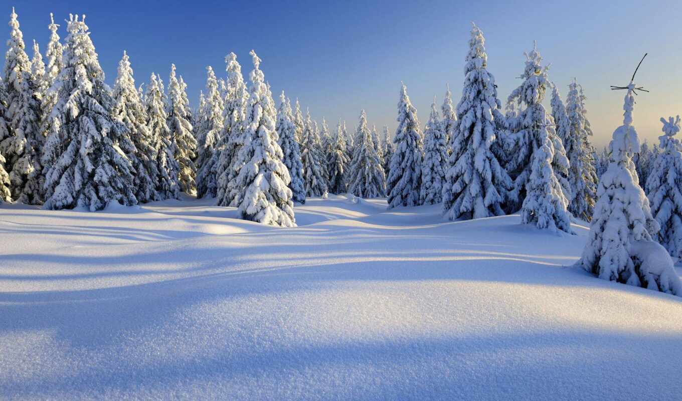 снег, winter, лес, красивый, funart, oir