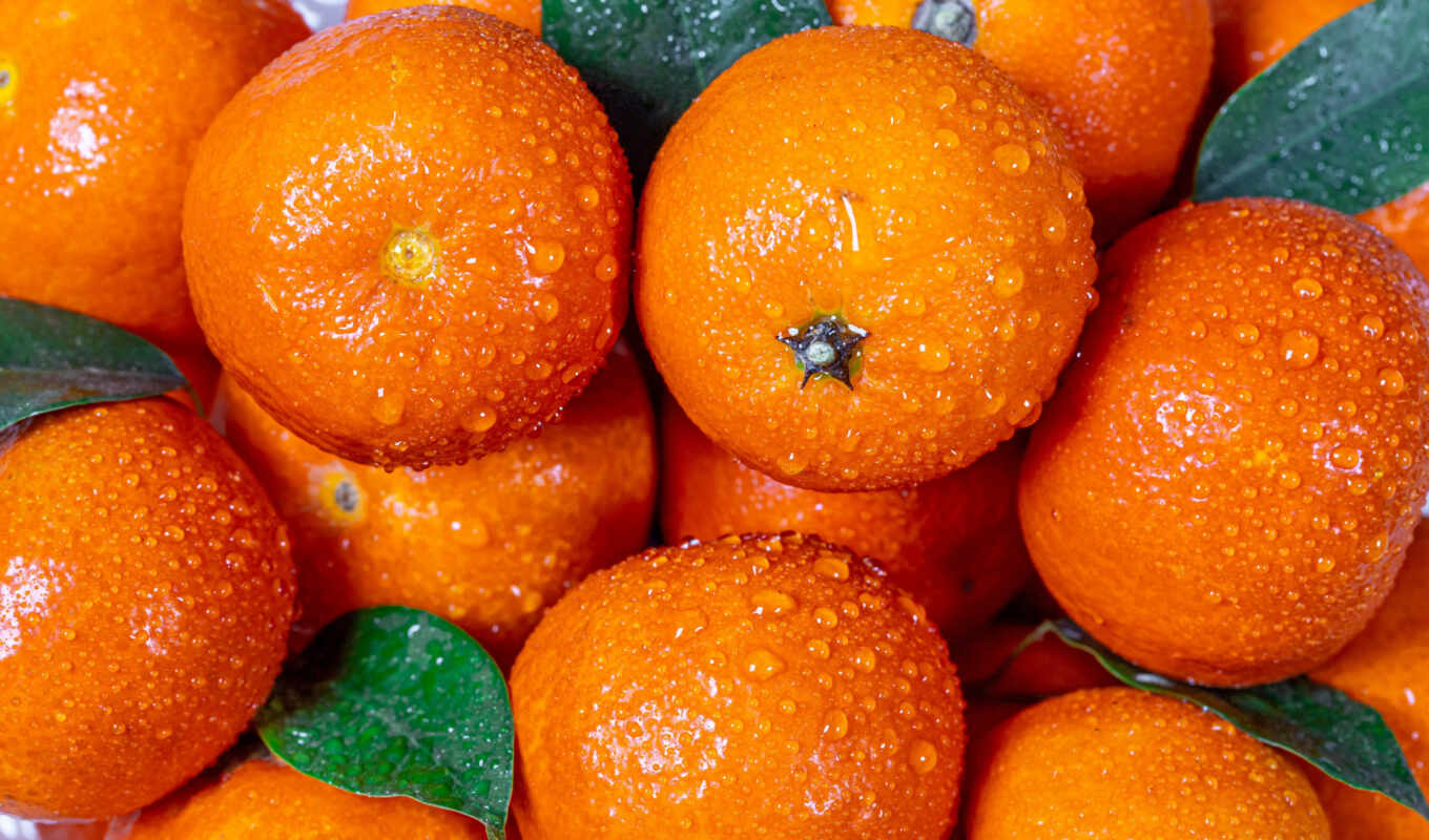 fresh, плод, оранжевый, juice, цитрус, tangerine