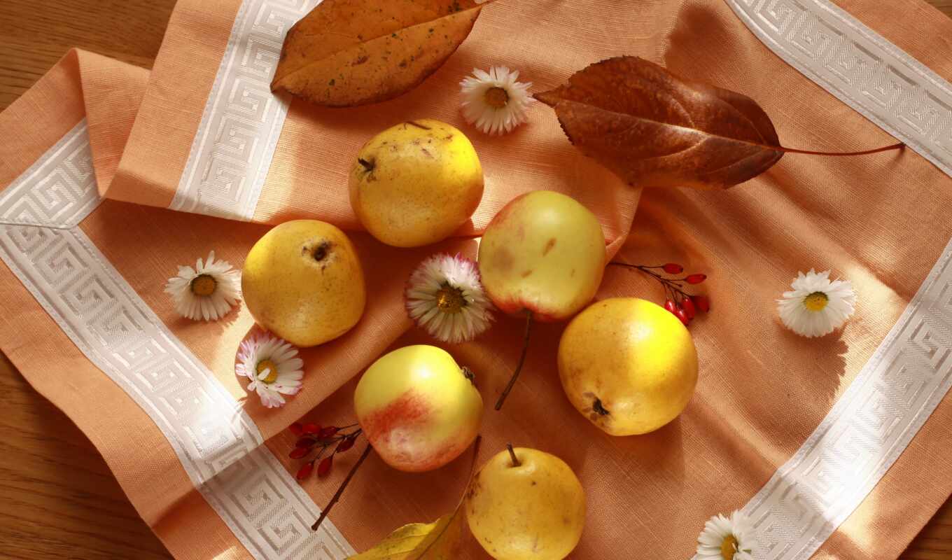apple, still, autumn, fetus, beautiful, life, tablecloth, meal, napkin, pear