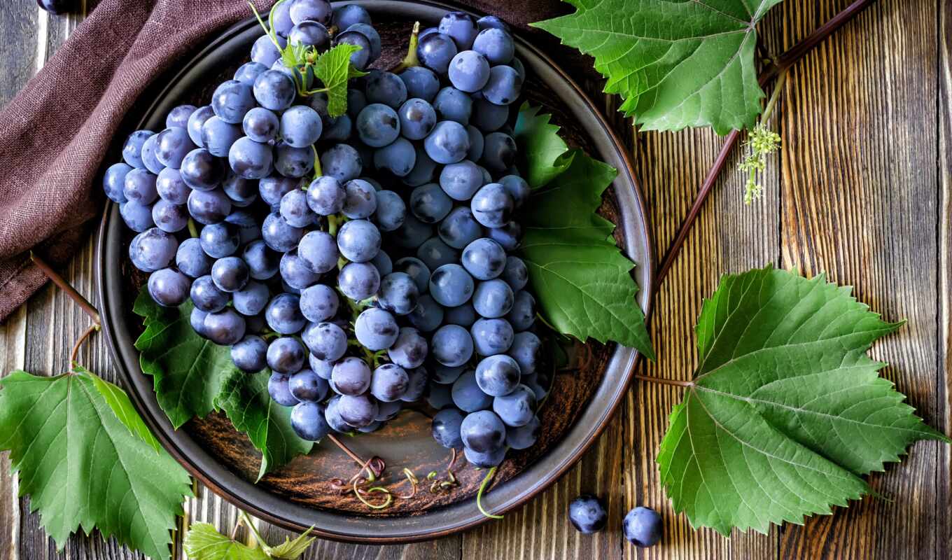 grape, variety