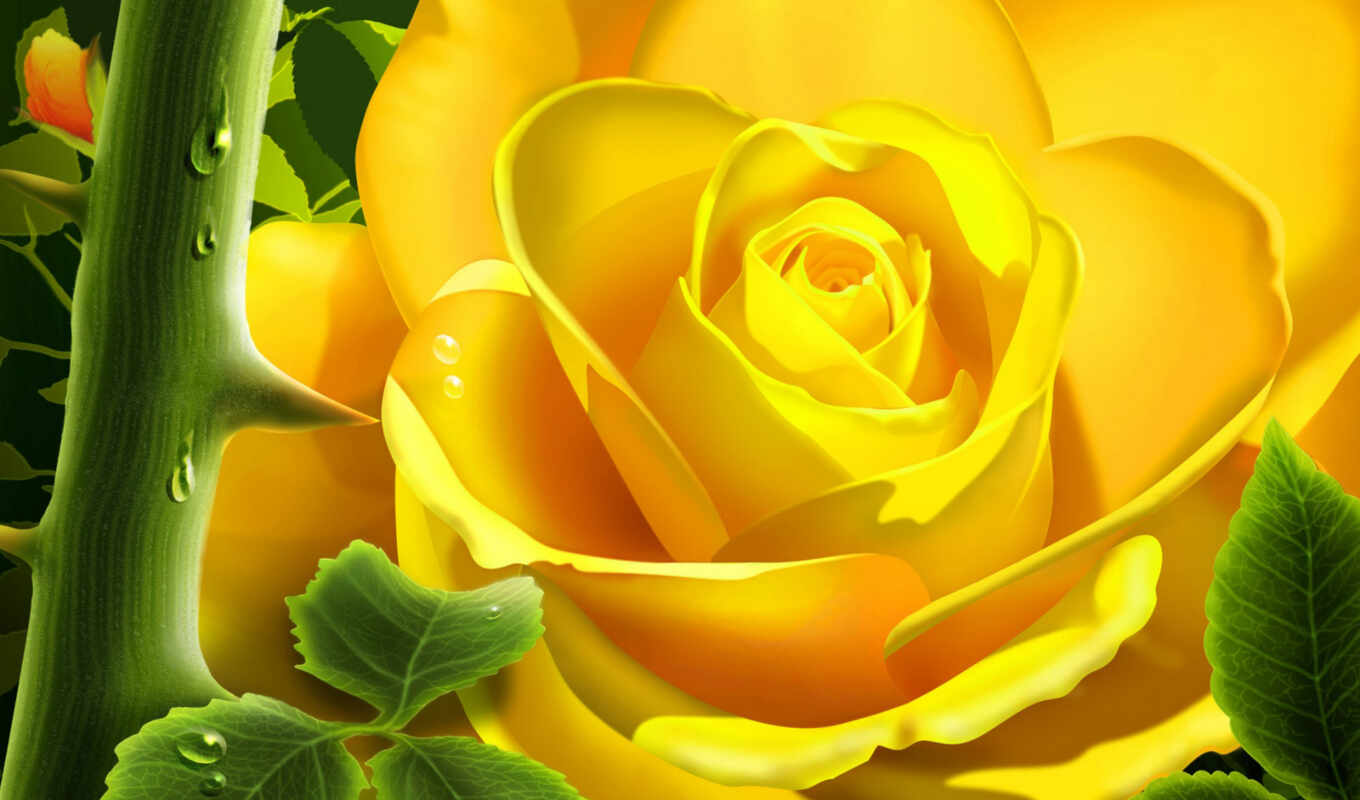 desktop, цветы, free, картинка, pictures, rose, yellow, сад, шипы