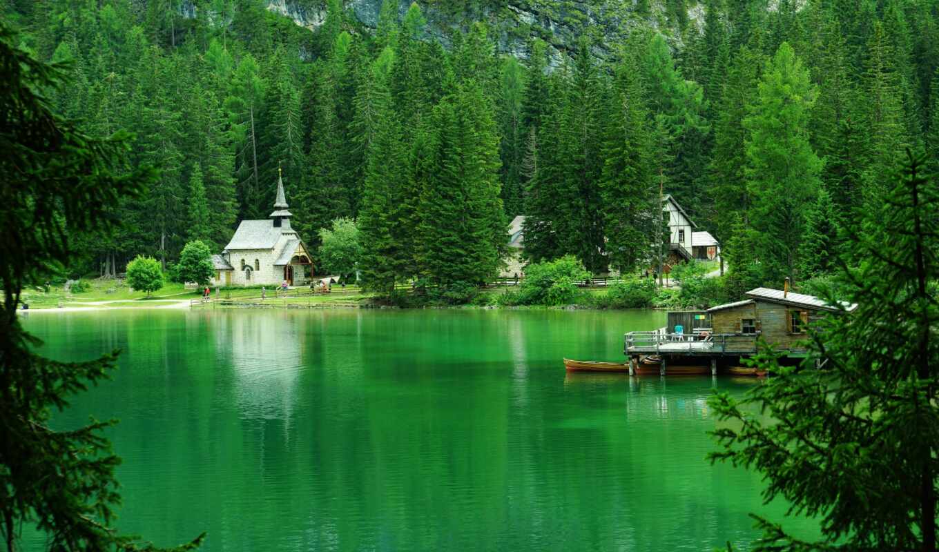 lake, nature, summer, tree, forest, screensavers