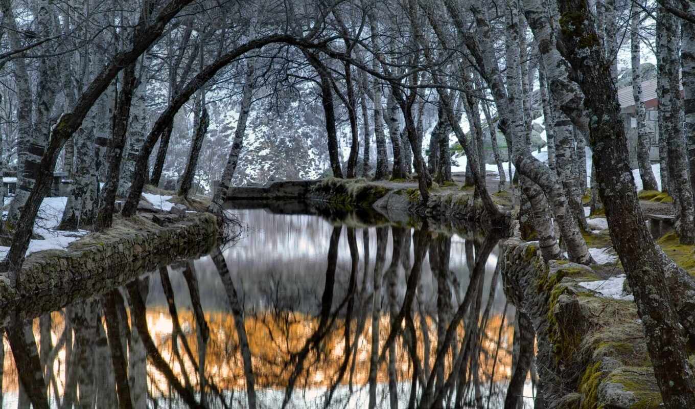 serra, estrela