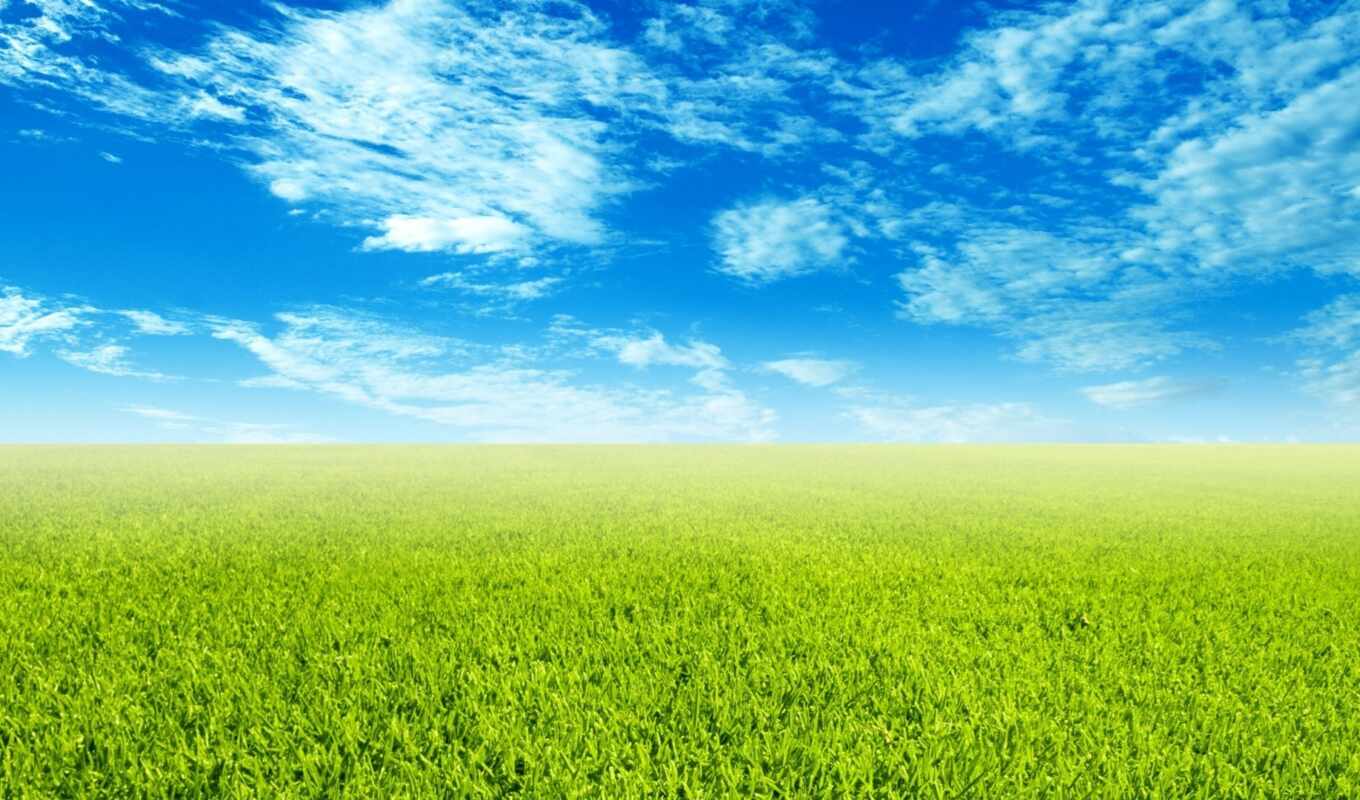 небо, трава, красивый, травка, kartinkifon