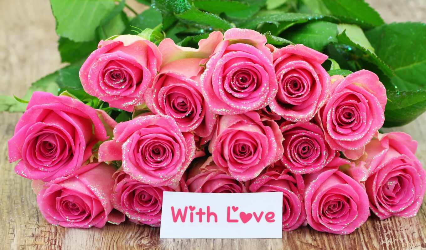 roses, pink, pink, product, cheap, roses, backgrounds, births, in the daytime, similar