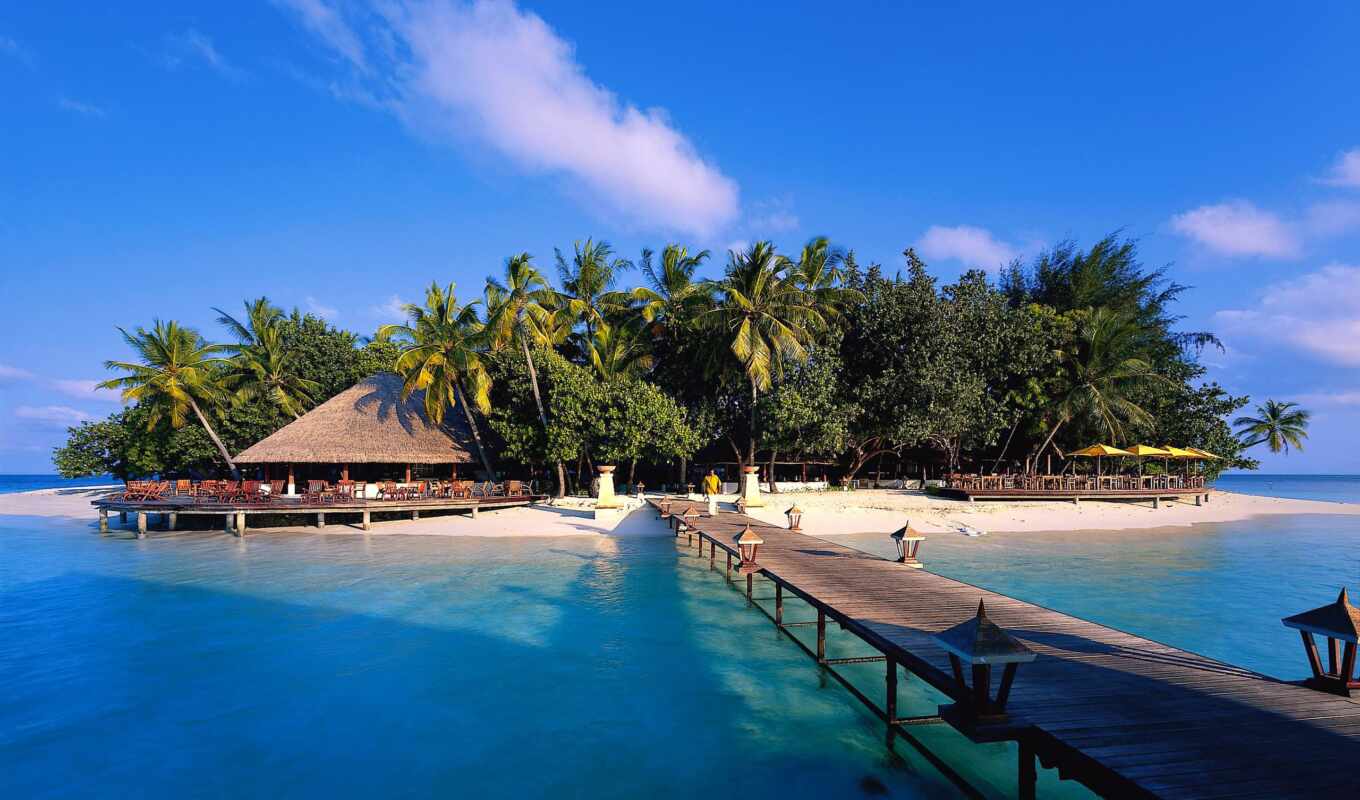 sea, palm trees, island, rest, maldives, islands, the island, tropical