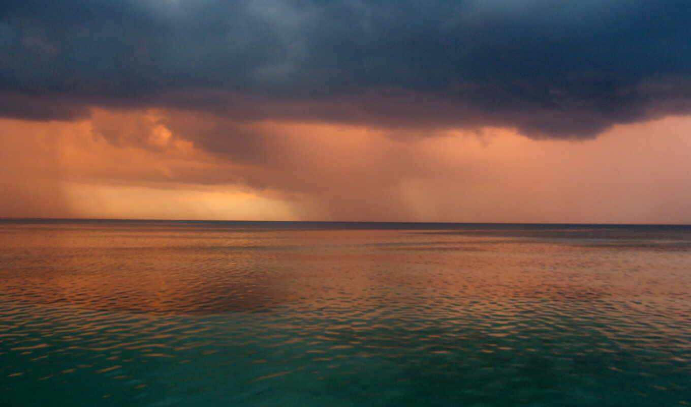 фото, дождь, hope, jamaican
