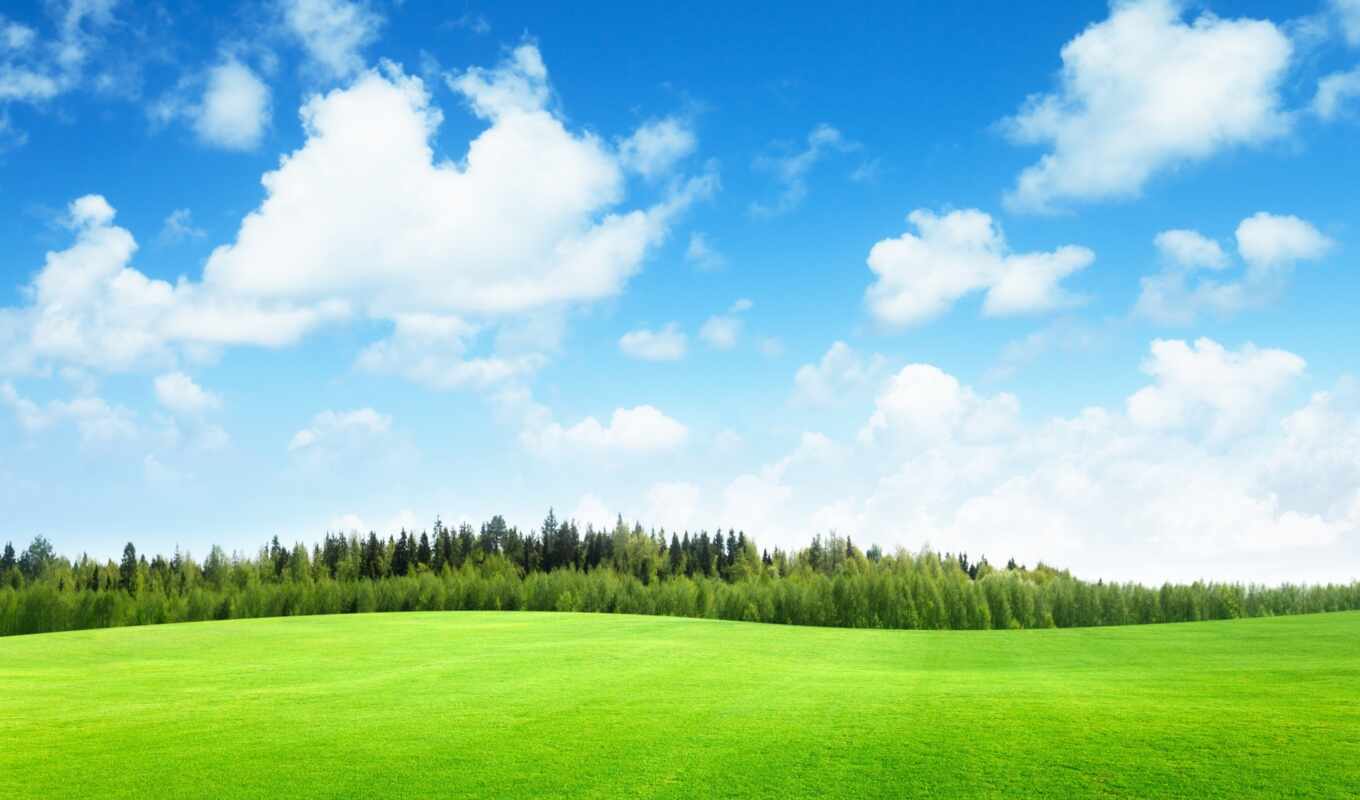 небо, зелёный, трава, abrakadabra