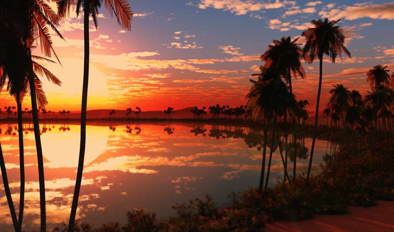 lake, nature, sun, sunset, beautiful, palm, rising, afterglow, permission