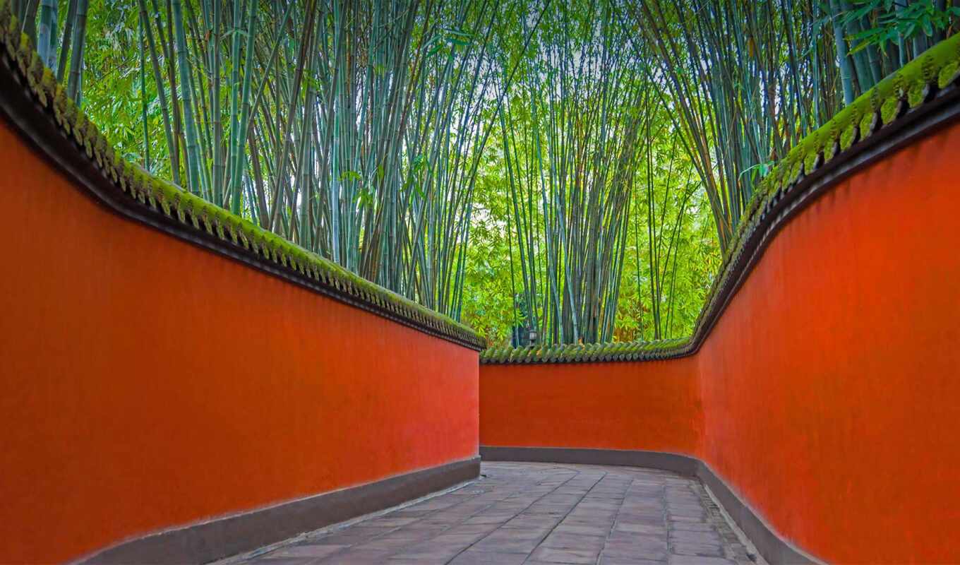 wall, red, temple, into, path, chengdu