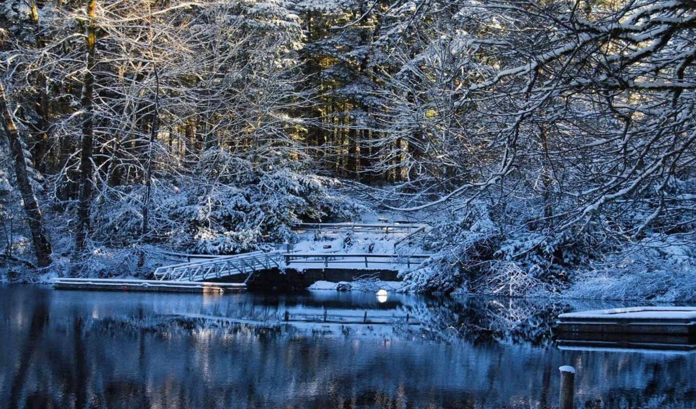 озеро, природа, дерево, снег, winter, landscape, fore