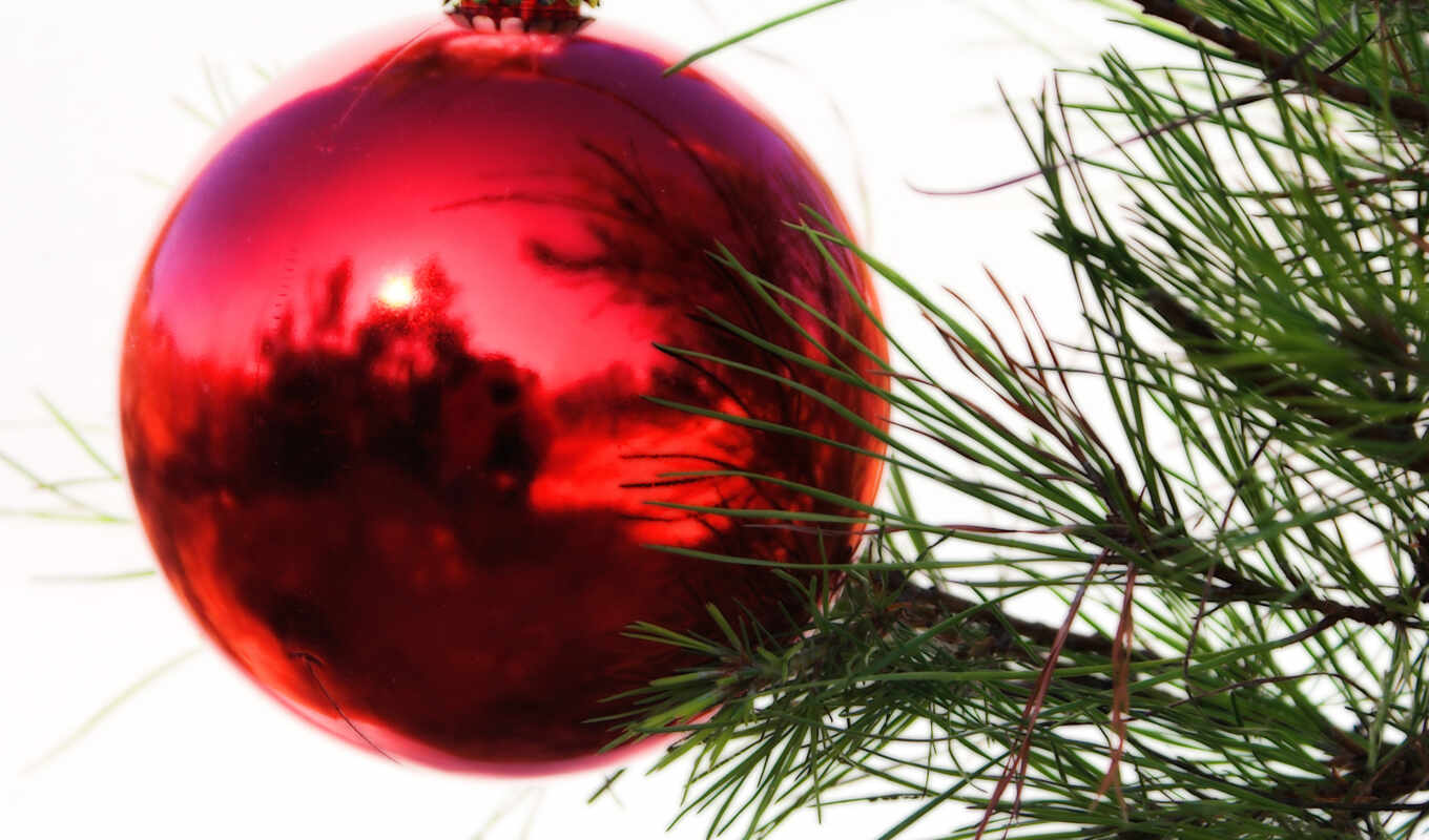 desktop, you, red, year, new, christmas, ball, some, pictures, holiday, Christmas tree, an, from, fir, branches, yılbaşi, ce, jewellery, jewellery, bucurie