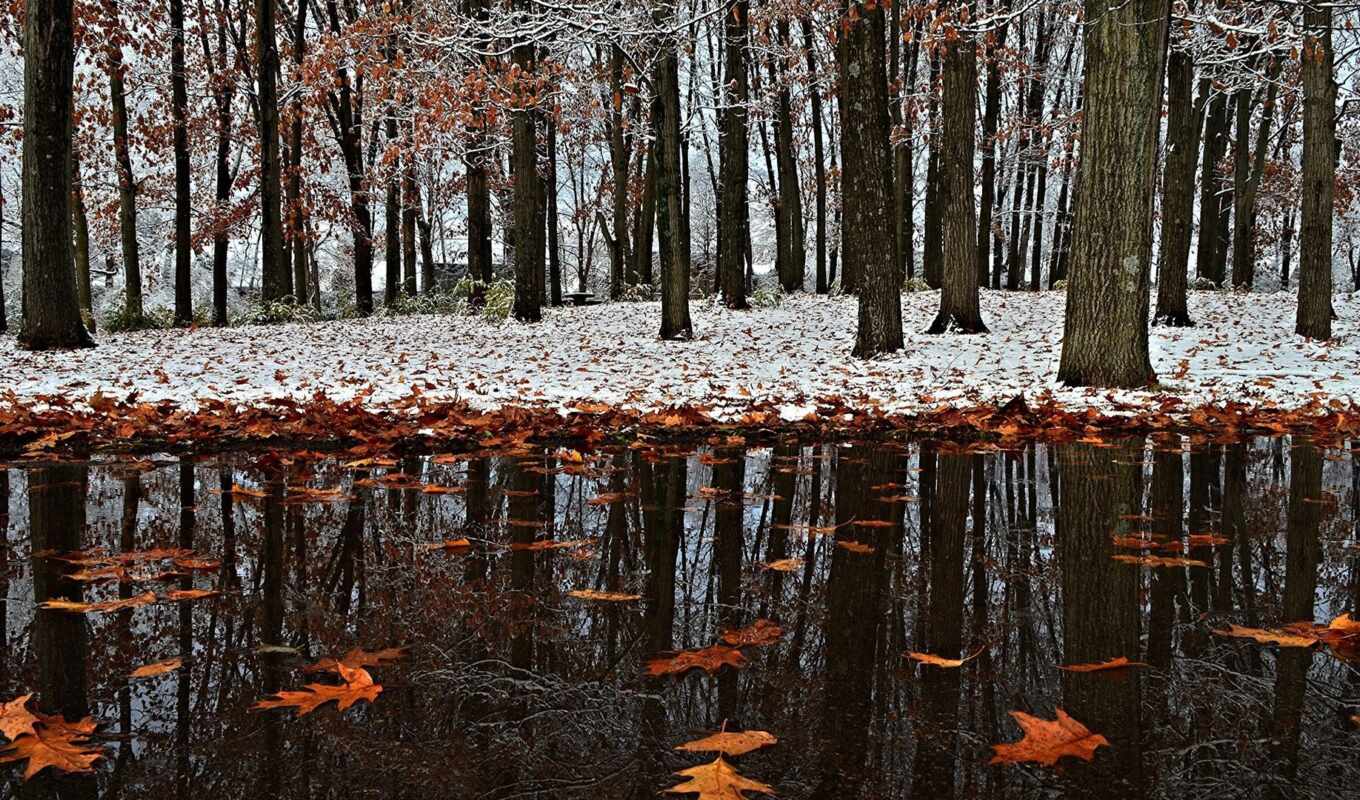 природа, снег, winter, осень, park, поздняя, initial