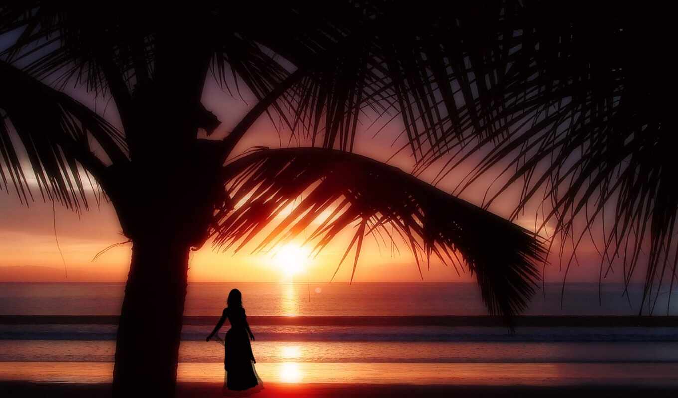 закат, пляж, море, горизонт, palm