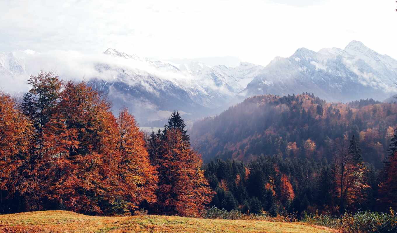 можно, лес, германия, file, осень, mountains