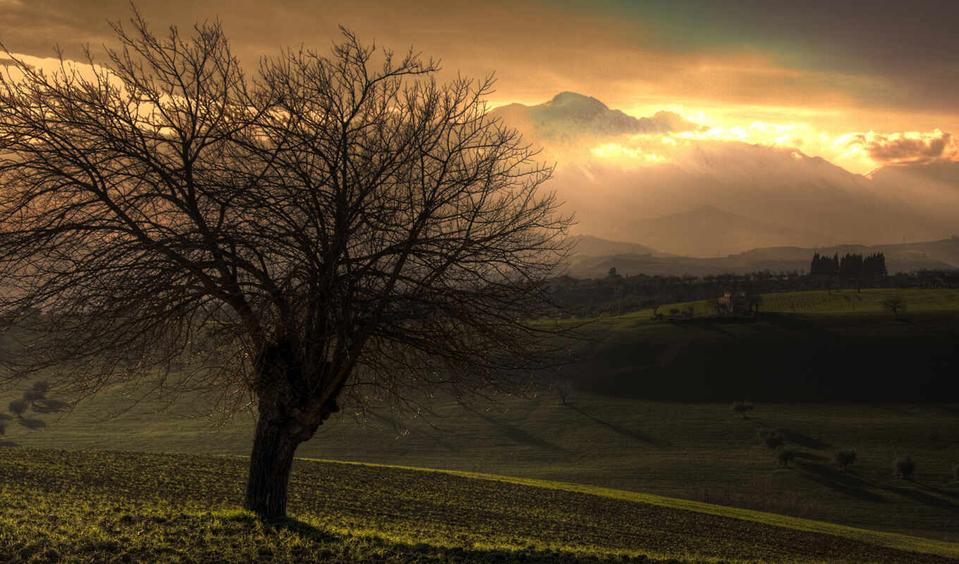 desktop, free, background, image, sunset, tree, mountain, the hill