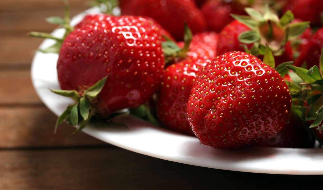 red, plant, strawberry, landing, care, variety, berry, feature, Lon, fragaria