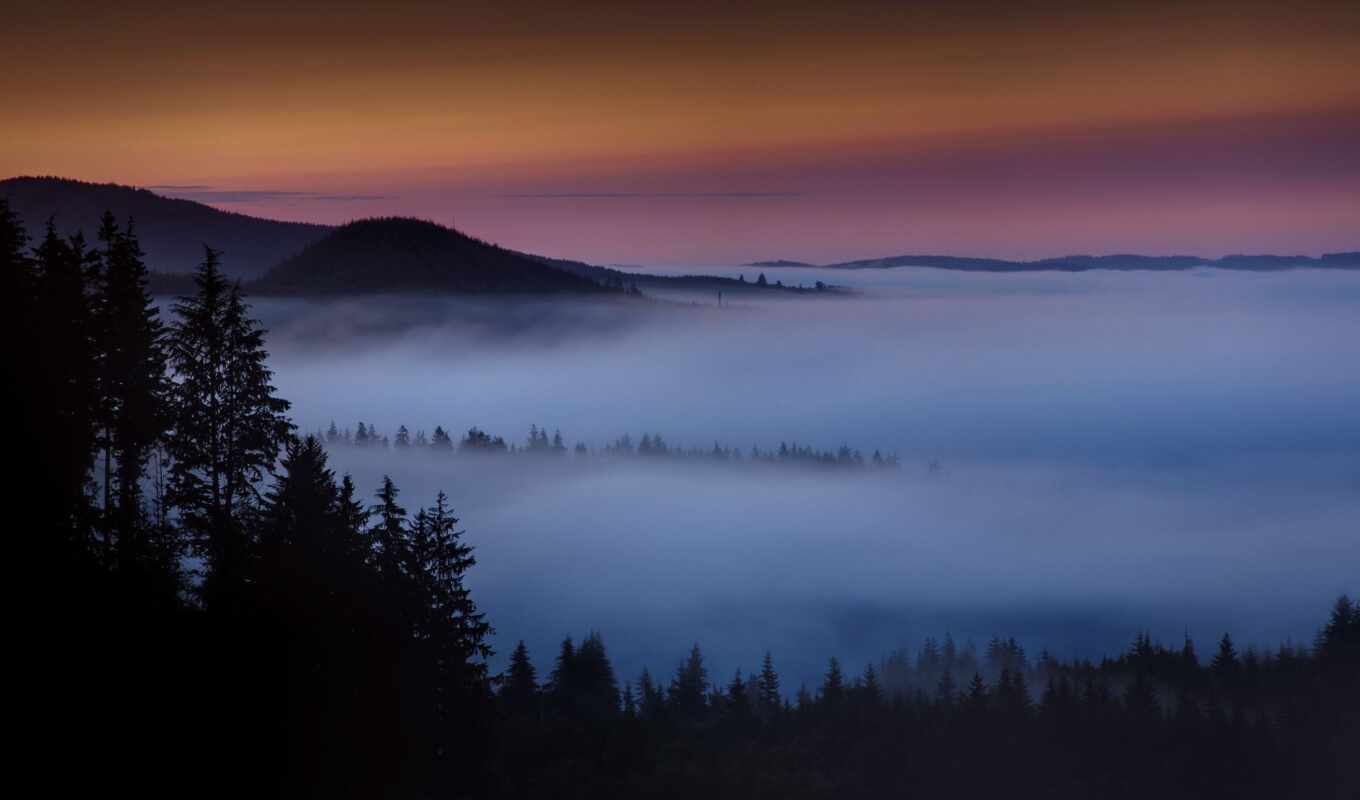 sunrise, forest, mountain, morning, fog, fore