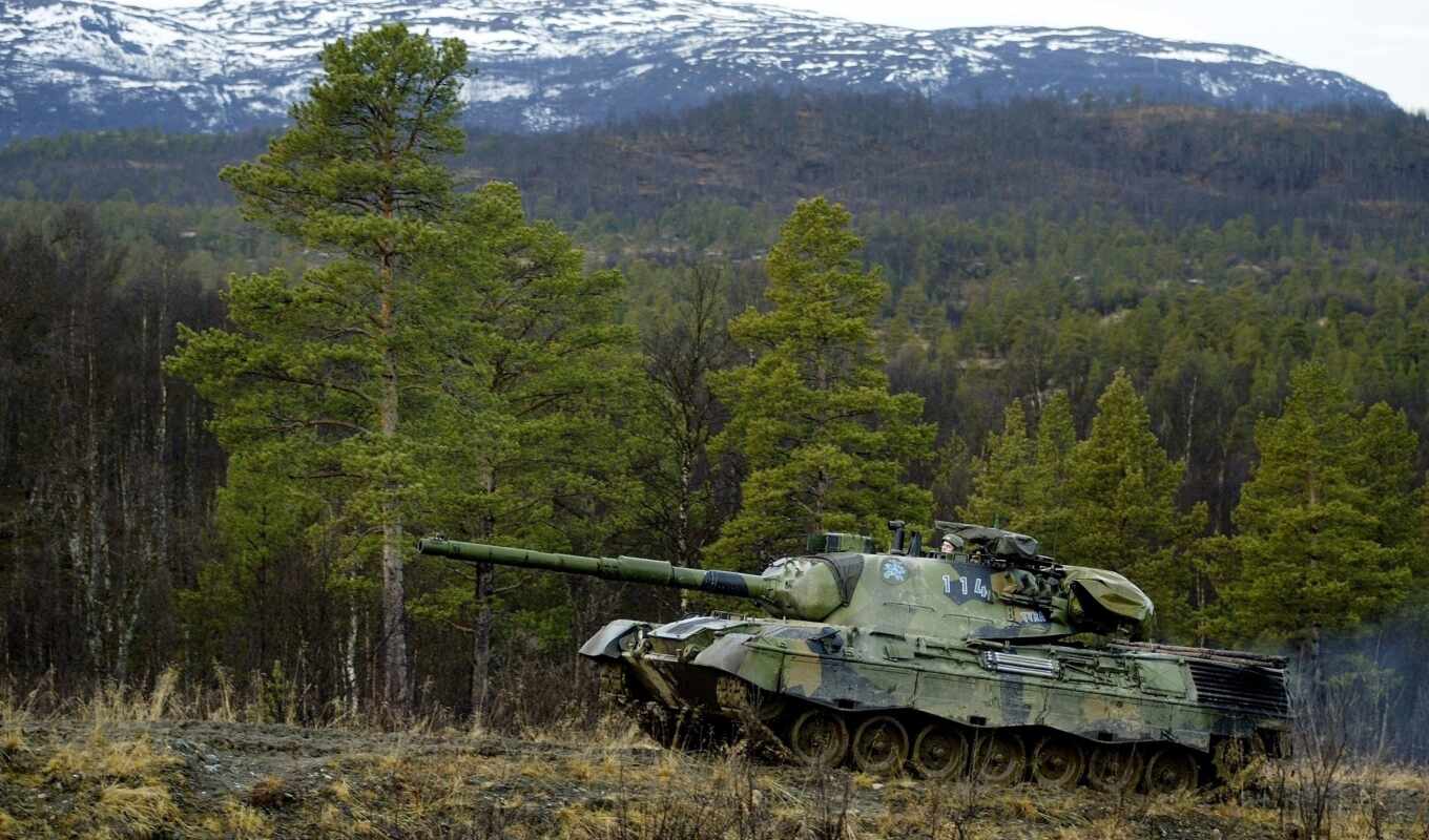 picture, forest, leopard, tank