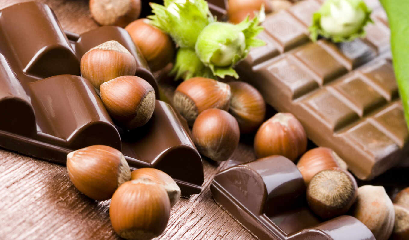 picture, chocolate, nuts, shell, milky, hazelnuts, plates, nuts