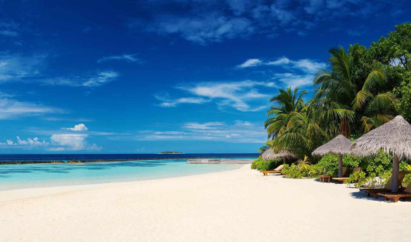 пляж, пальмы, ocean, maldives