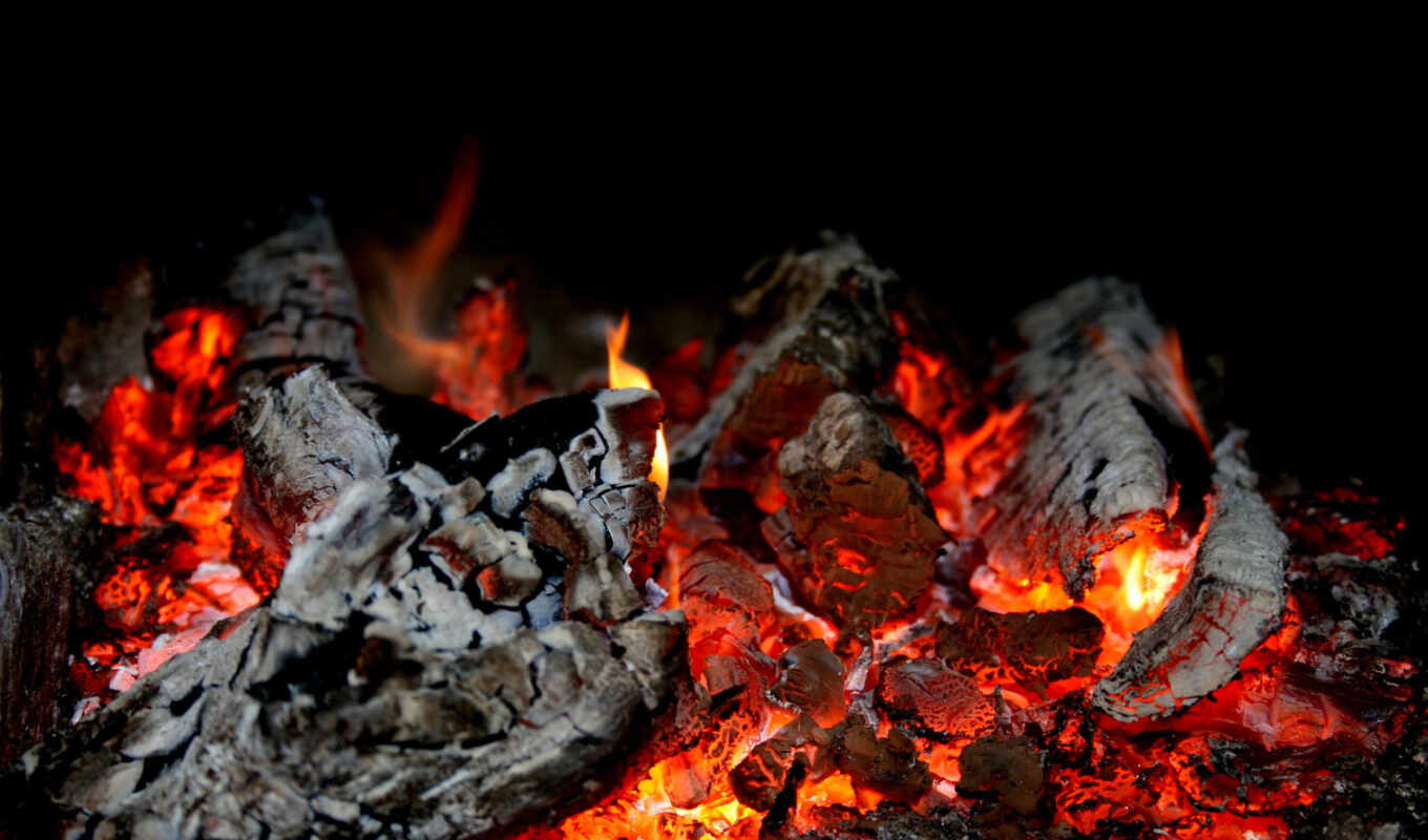 fire, flame, coals, wood, warm, ash, hike, firewood, kostryi, tlet