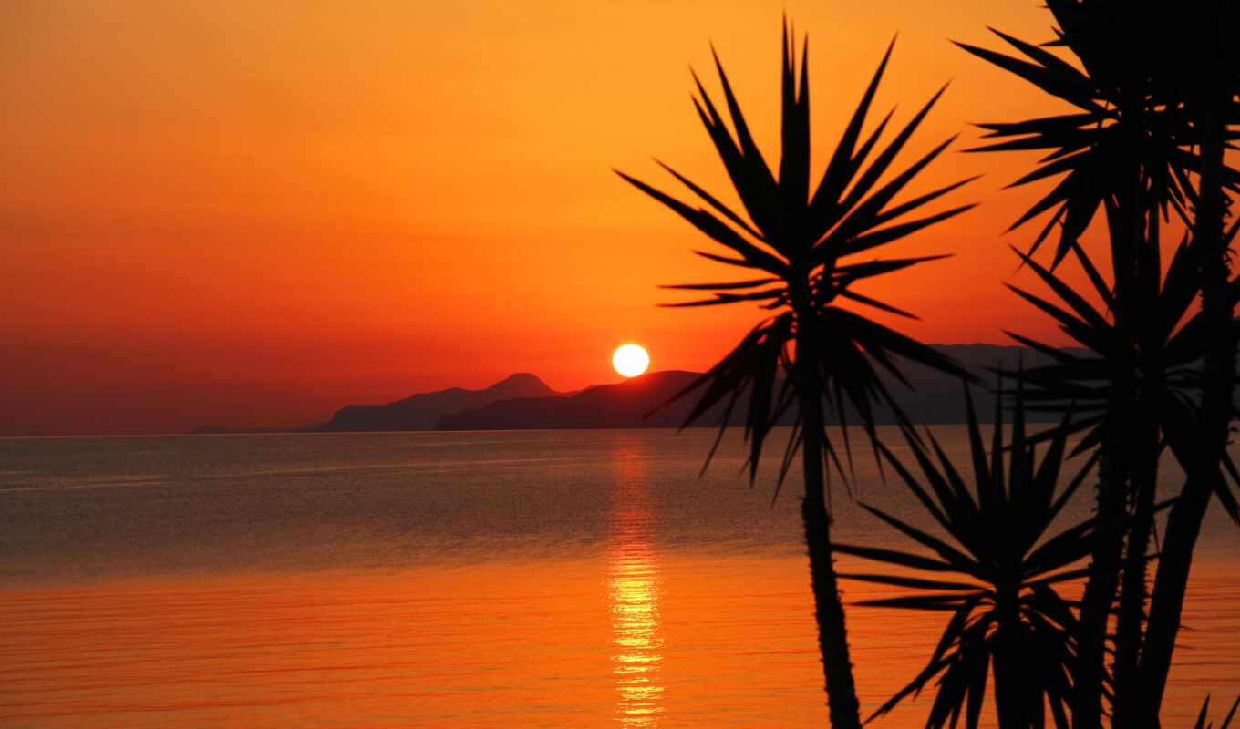 sunset, mountain, sea, palm