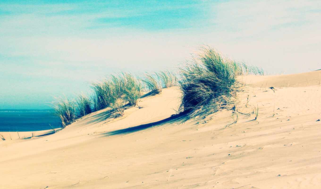 пляж, песок, dune