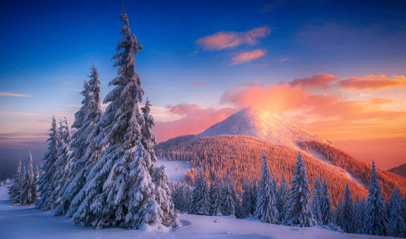 дерево, fir, winter, гора, pine