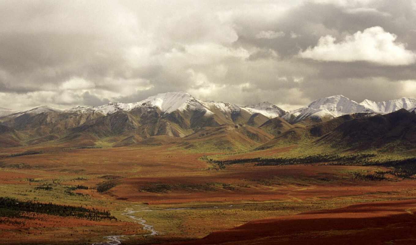 осень, pinterest, park, national, аляска, denali, tundra