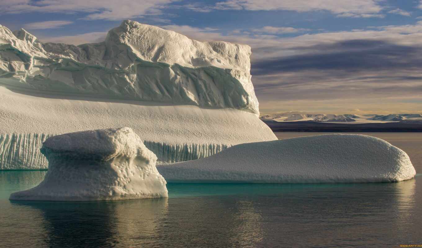 nature, ice, rock, sea, animal, coast, iceberg, arctic, bỏng