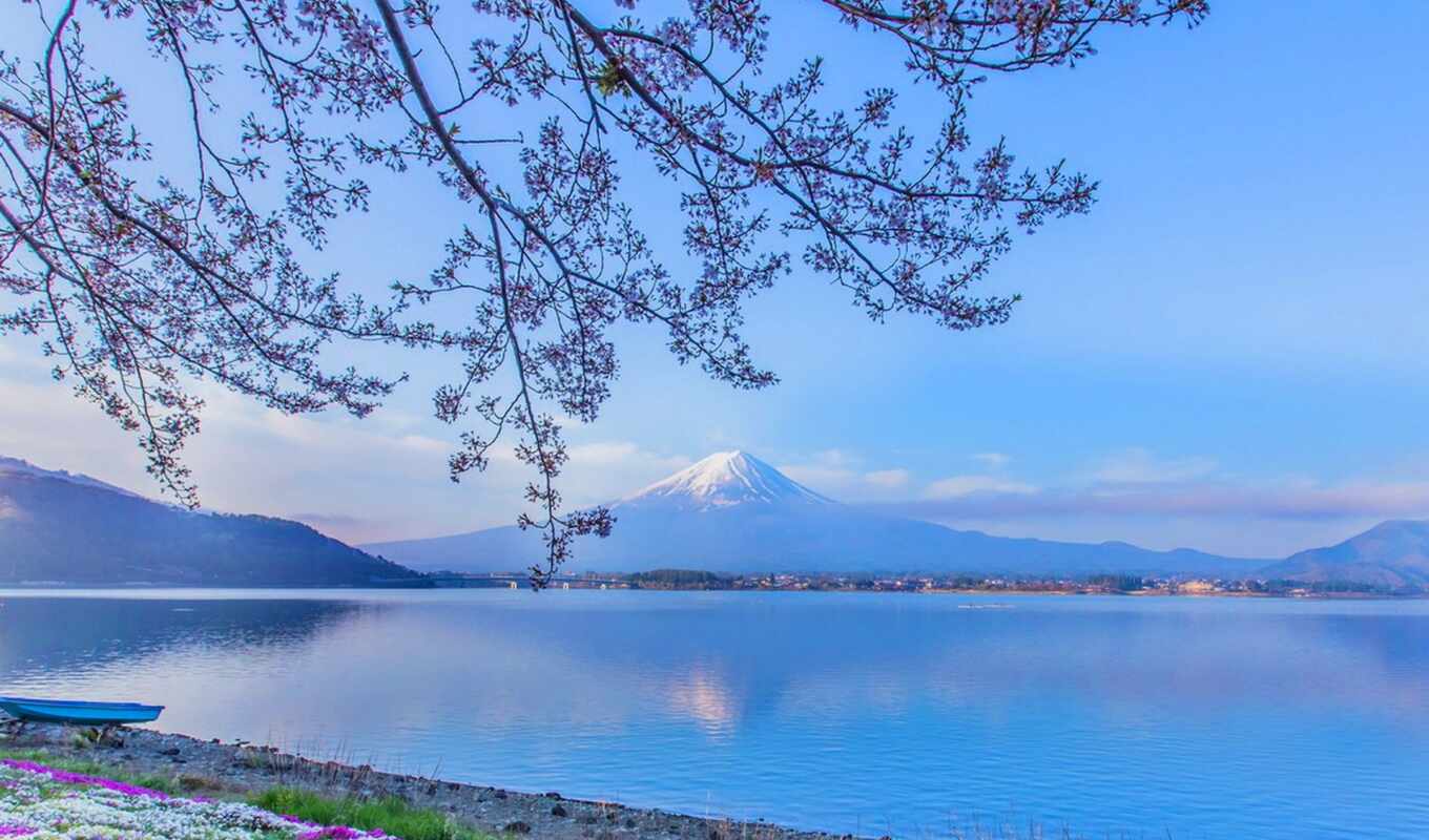 lake, mountain, japanese, branch, fudz, kavaguti