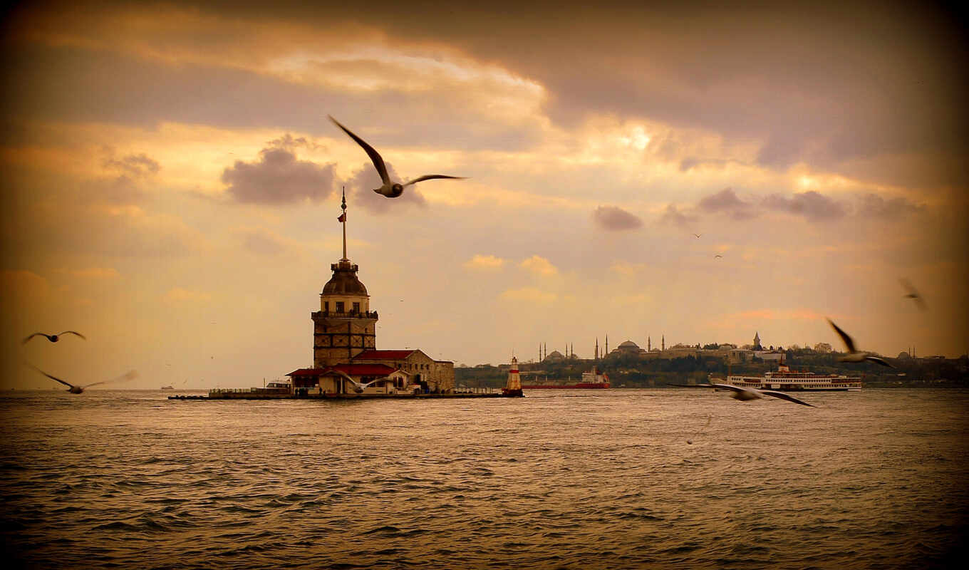 sunset, city, night, cities, landscape, lights, sea, turkey, Istanbul, seagulls